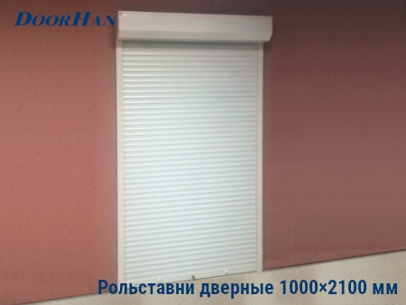 Рольставни на двери 1000×2100 мм в Усинске от 32777 руб.