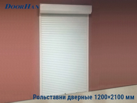 Рольставни на двери 1200×2100 мм в Усинске от 36105 руб.